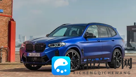 国产成人TV：汽车市场新势力：揭秘崛起的国产神车优势-1