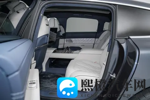 蔚来ET9：豪华与科技的碰撞，适合年轻人、商务人士和科技爱好者-2