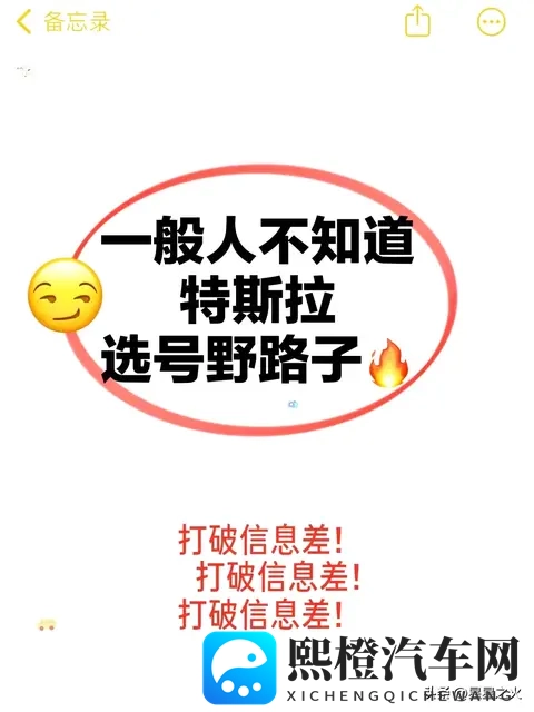 很好用‼️特斯拉选号野路子💯-1