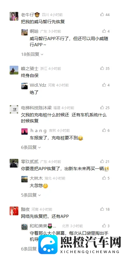 威马复活，一场“闹剧”or“爽剧”？-1