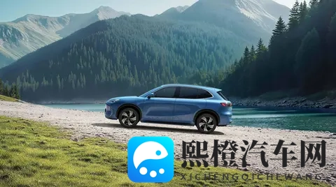 预算十万,银河E5和元plus谁才是家用好车?-2