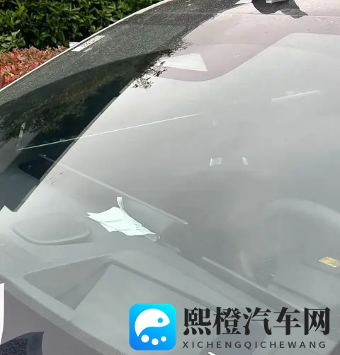 日产N8谍照曝光 定位中大型SUV 搭载大尺寸双联屏-1