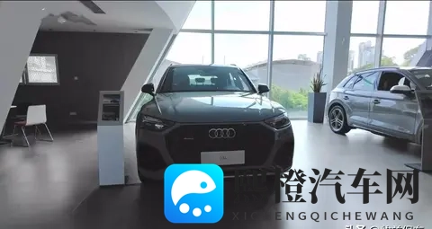 奥迪Q5L,降价求生背后的秘密,豪华市场风云再起-2