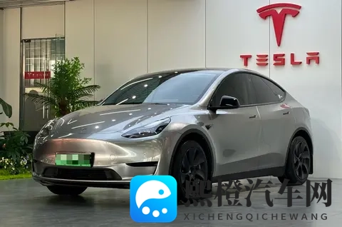 23年Model Y,香槟色颜值担当,16万+圆你电车梦!-1