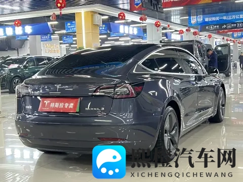11万出头，圆你绿色出行梦——20款特斯拉Model3-1