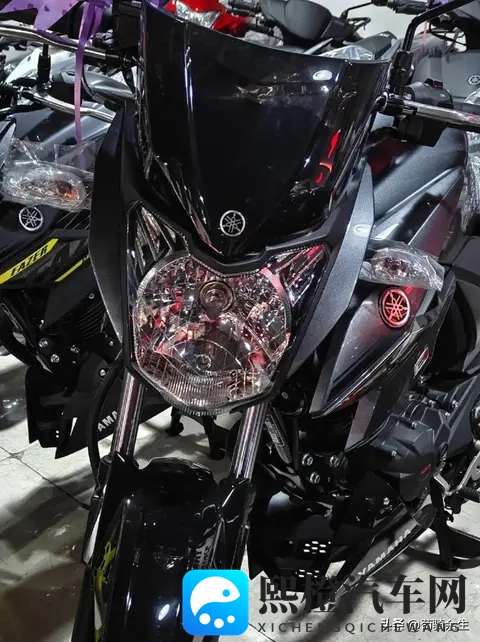 飞致250停产后，YS150凭啥坚挺？17L油耗+800公里续航，值不值？-3