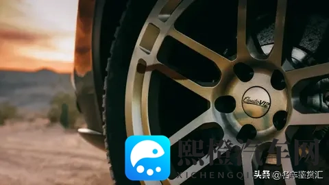 天娱传媒春节回家相亲孟孟：天娱艺人春节返乡，邂逅甜蜜相亲故事-1