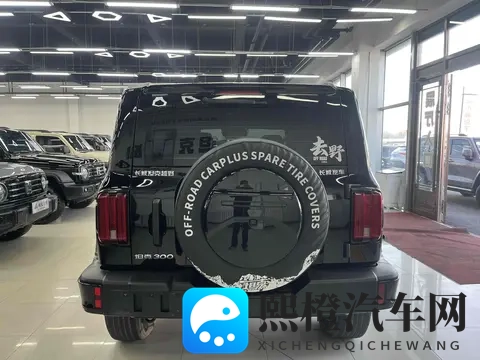 准新坦克300：2万公里，圆你越野梦！-1