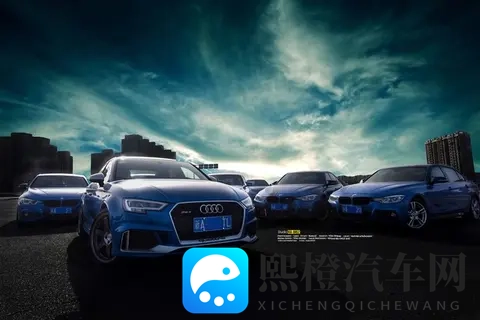 荷兰政府5“神操作”，全球车企差点集体趴窝-1