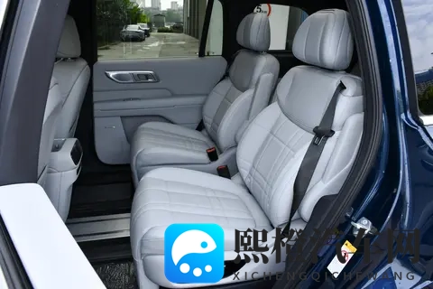 深蓝S09:大空间,辅助驾驶便捷,30万级高端家用SUV选它就对了!-1