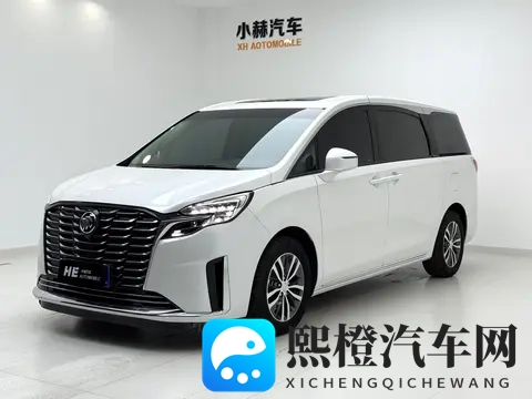 奶爸福音,宜商宜家,准新一手别克GL8-2