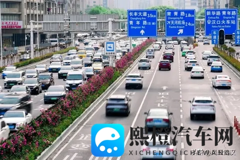 河南亲戚紧急来武汉,贡献了20万GDP!-3