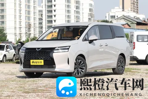 768 万买台家用 MPV，真能做到 老少皆宜？-2