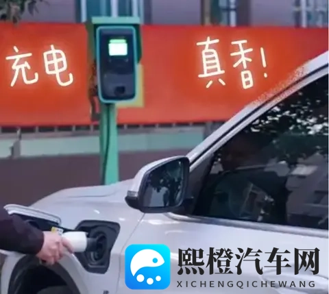 油车车主说不公平，英国动手，要对电车开征“里程税”了？-2