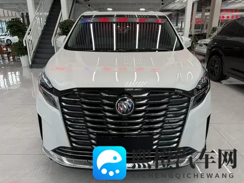 宜商宜家好选择,准新一手别克GL8陆尊-3