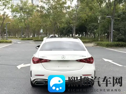 绿巨人丝瓜:巨型丝瓜,绿意盎然,独特风味-3