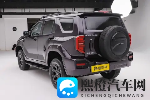 全新坦克400 四种动力如何选? 购车分析-2
