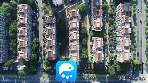 一区二区黄色:都市繁华地带,暗藏黄色陷阱-2