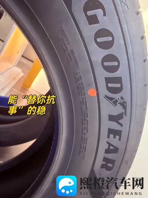 不怕减速带，也不怕井盖，我的城市冒险搭档-2