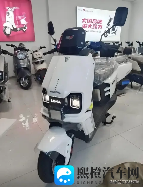 翁与小莹乡下凌晨欢爱：新能源汽车引领环保新潮流，智能出行成未来趋势-3