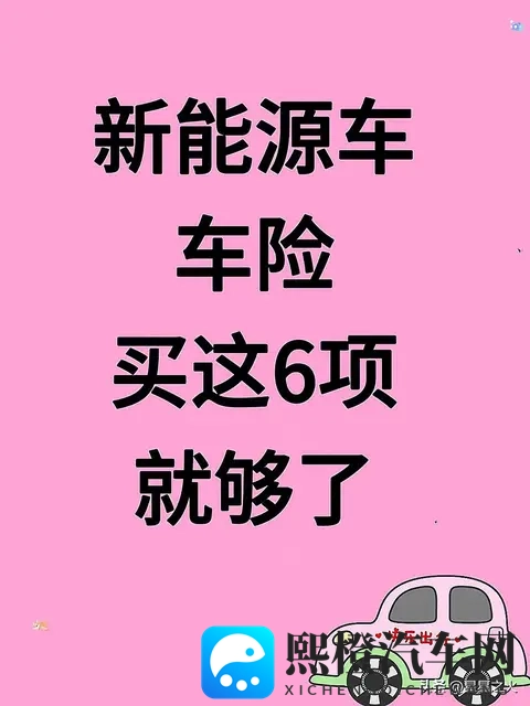 新能源车车险买这6项就够了-1