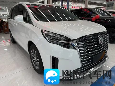 宜商宜家好选择,准新一手别克GL8陆尊-2