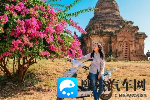 南京1月1日起小蓝牌电动车禁行,换牌还是换车?攻略请藏好-3