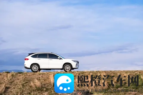 10万块买车钱，国产还是合资？这份避坑指南让你不花冤枉钱！-2