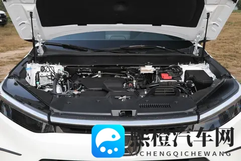 女式开襟睡衣裙子做双人运动：女性开襟睡衣搭配运动，共度温馨双人时光-3