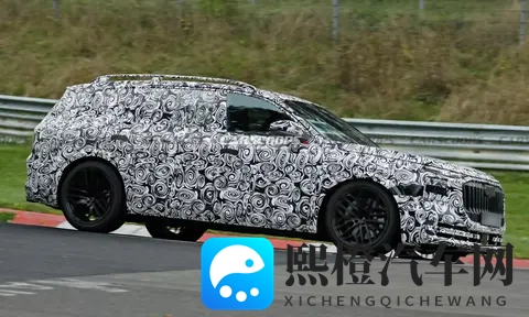 在“霸气”与“硬气”间：奥迪霍希首款SUV旗舰选择了“和气”！-1