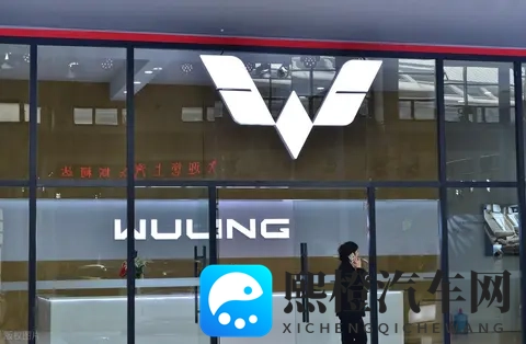 宏光 MINIEV 卖疯了，网友说：这是消费降级了，真的是这样吗？-1