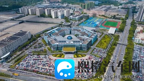 新能源车购置税减半：助力绿色出行的利好政策-3