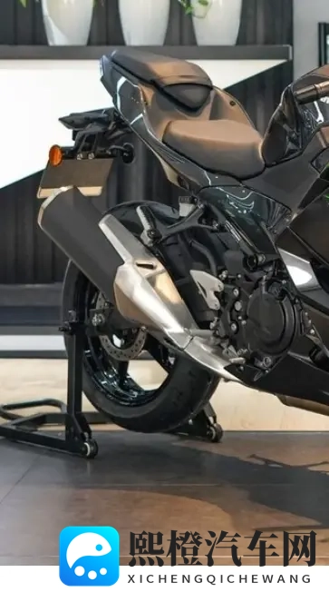 川崎价格大崩盘 500系列+ZX-4R从加价抢车到骨折清仓 现在入手血赚-3