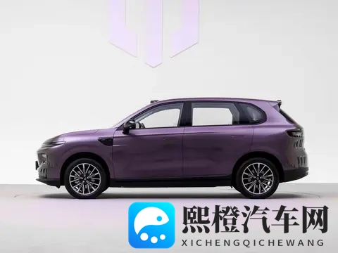 零跑又要有新车了,这次是A系列,或只有纯电版-1