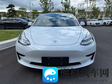 11万多圆梦特斯拉，20款Model3，通勤代步新选择？-1