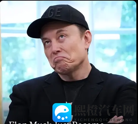 特斯拉蒸发3800亿：暴跌背后，藏着3个被忽视的真相-2