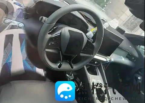 豌豆视频：新能源汽车崛起，自动驾驶成焦点，智能汽车引领未来-2