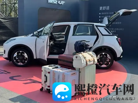 京东掀桌了！49999块的新车，刺痛了谁的神经？-1