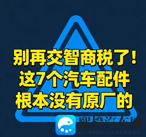 别再交智商税了！这7个汽车配件根本没有原厂的-2