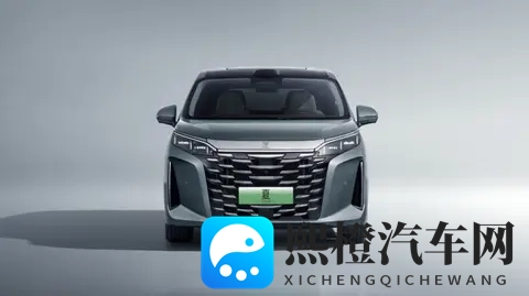 电击花蒂抽搐尖叫失禁H:汽车智能系统守护:揭秘极端情况下的安全奇效-3