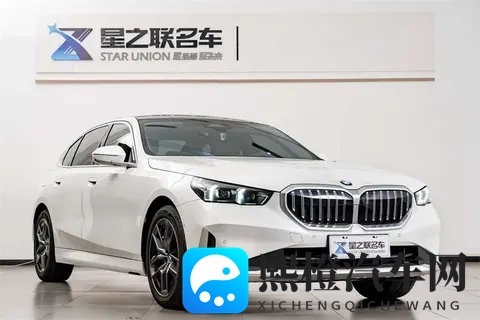 男插女软件：男性用户专用社交平台-2