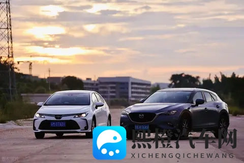 丰田卡罗拉的思考:糟糠之妻,平时嫌她不够刺激,又舍不得她的靠谱-3