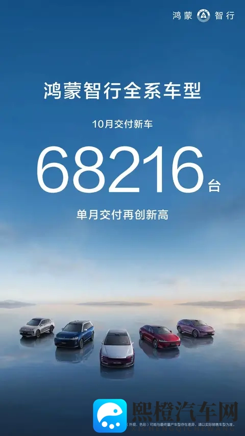 以2024年及2025年10月销量预测今年11月和明年10月新势力销量榜单-2
