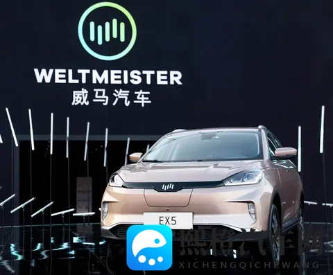 一折抢购威马的赚到了？威马汽车官宣“好事将近”-2