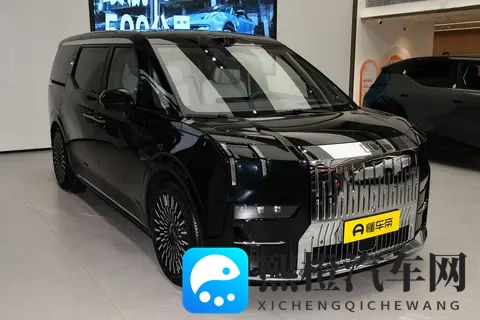 极氪009：高端家用MPV新选择，11月购车福利满载-2