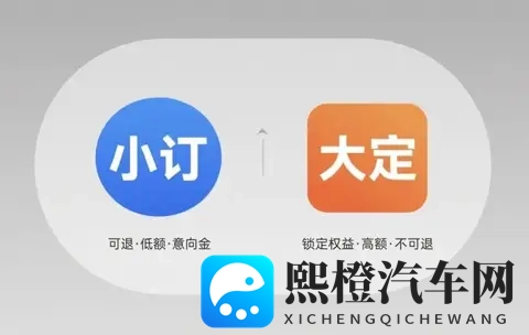 5块钱就能买一个“热情用户”？知名车评人又忍不住打假车企小订-1