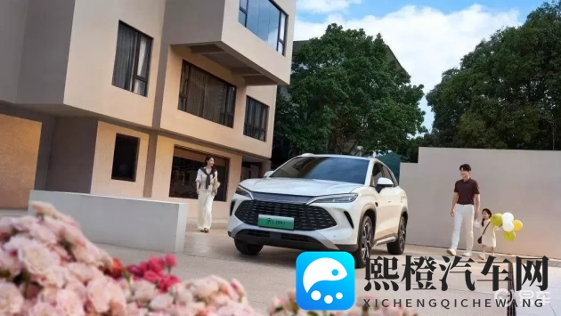 蜜股av：股市投资新视角，揭秘财富增长之道-1