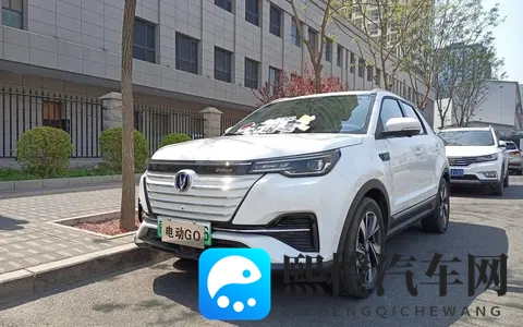 长安汽车：从历史变迁到新能源突破，独特发展路径待探讨？-1