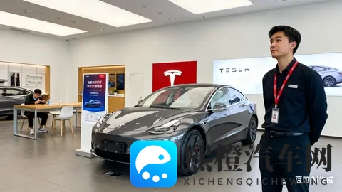 特斯拉中国月销暴跌636%，创三年最差-2
