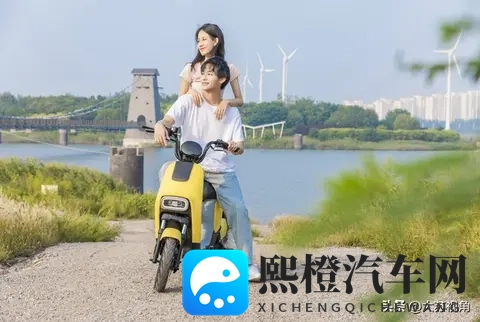 南京1月1日起小蓝牌电动车禁行,换牌还是换车?攻略请藏好-2